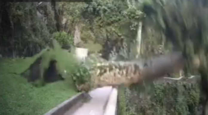 Bellano, platano secolare crolla nell’Orrido: nessun ferito (VIDEO)