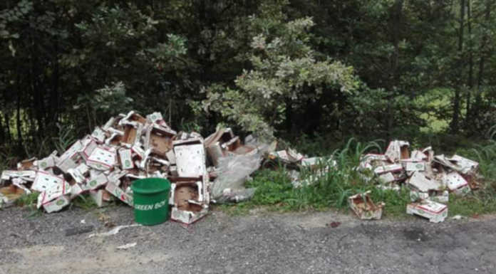 I Green Boys di Brivio in trasferta a Cisano: ripulita la zona intorno al Mollificio