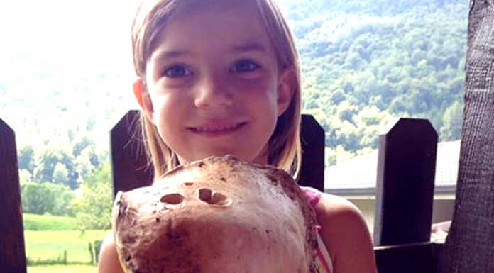 Porcino da record, la piccola Alice immortalata con un fungo da sette etti
