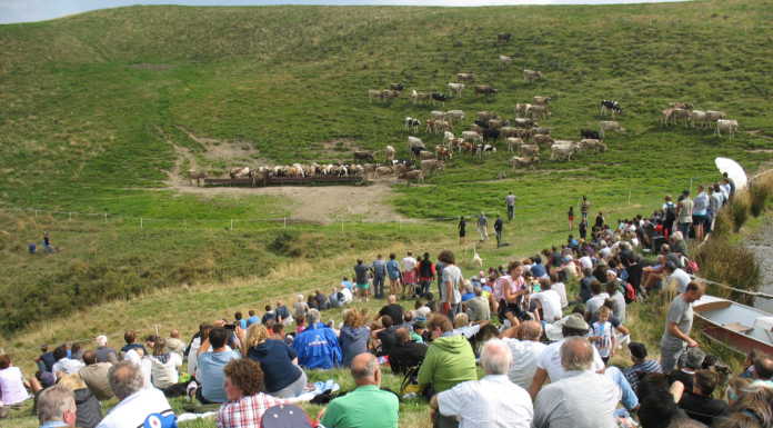 “Valsassina: la valle dei formaggi”, un fine settimana ricco di iniziative