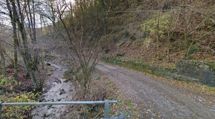 Carenno. Dal Gal il finanziamento per la pista forestale San Carlo – Fornace