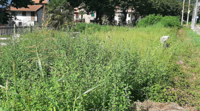 Dervio, un parcheggio nelle aree dismesse della ferrovia, la mozione della minoranza