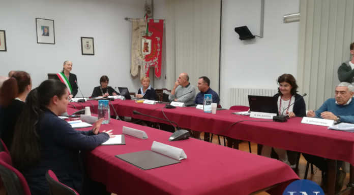 Cernusco, Krassowski contro il project financing per l’illuminazione pubblica: “Costa di più”