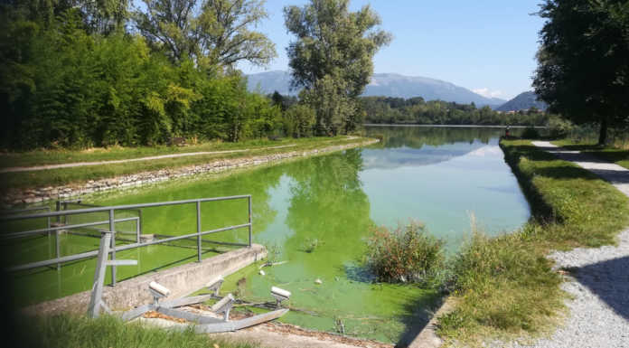Merate, il consiglio di gestione del lago di Sartirana in cerca di candidati e direttore