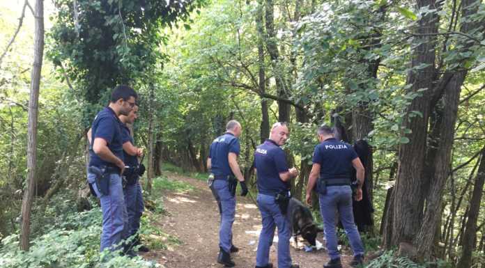 Controlli anti-droga nei boschi a Molteno e Bulciago, sequestri e una denuncia