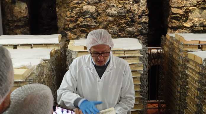 Nelle grotte della Cademartori per scoprire i segreti della stagionatura