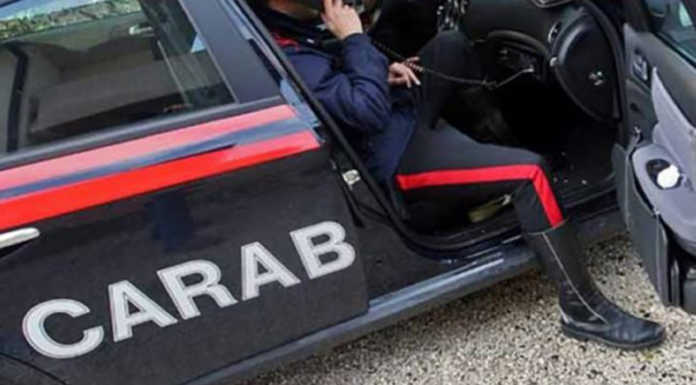 Rinvenuto il corpo senza vita di un uomo nei boschi sopra Parlasco