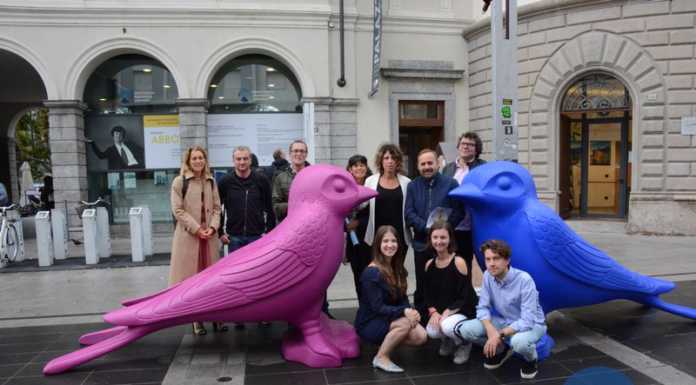 A Lecco è arrivata la “Cracking Art”, rondini e rane per sostenere Villa Manzoni