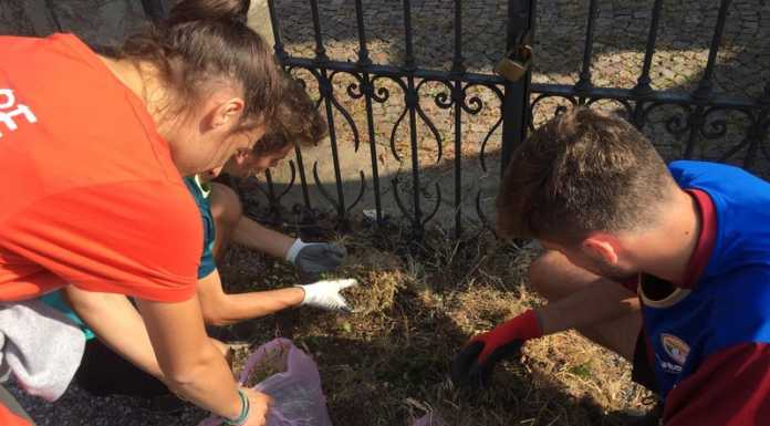 Rompono accidentalmente un canestro, giovani al lavoro per rimediare al danno