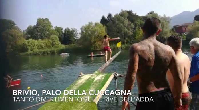 Brivio, Simba si conferma il re… della cuccagna