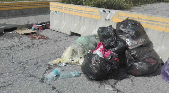 Brivio, nuova trasferta ecologica per i Green Boys