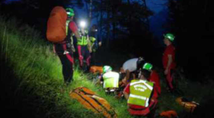 Uomo aggredito da un muflone nei boschi sopra Civate