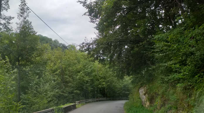 Rami e arbusti sulla strada per Carenno, il sindaco Pigazzini vittima della burocrazia