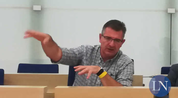 Merate, pulizia del verde e giornata dell’albero con il primo weekend ecologico