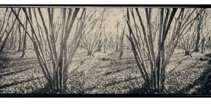 Merate, lectio magistralis con il fotografo Annunzi in Villa Confalonieri