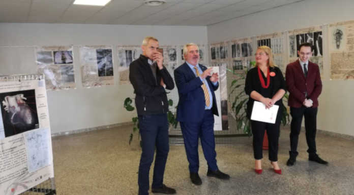 Merate, in mostra nella hall del Mandic “L’anatomia di Leonardo”