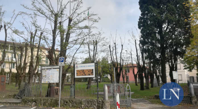 Cambia Merate interroga sulla potatura al Parco delle Rimembranze