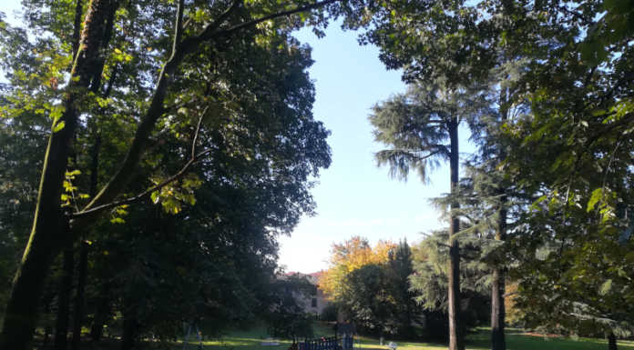 Al via il progetto “Parco aperto a Merate” rivolto a bambini autistici o con difficoltà