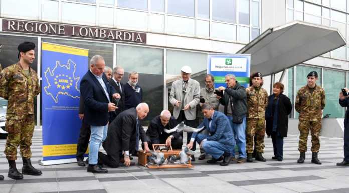 Lancio di piccioni viaggiatori e ponte luce tra Palazzo Pirelli e Palazzo Lombardia