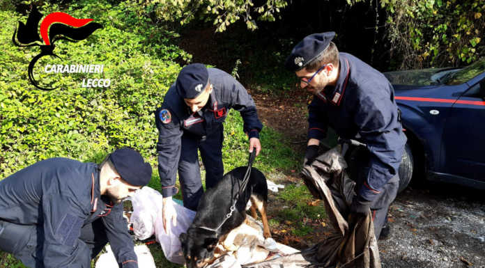Spaccio nei boschi della Brianza, individuati tre bivacchi dei pusher