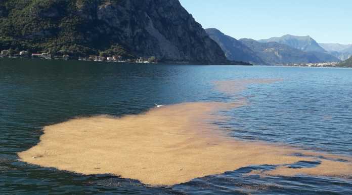 Chiazza ‘anomala’ nel lago: niente sversamenti, si tratta solo di fogliame