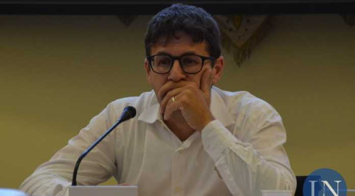 Olginate. Polemica sui cedri, il sindaco: “Non è stata una decisione facile”