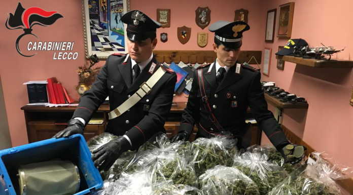 Coltivavano marijuana, in manette tre fratelli gemelli di Cremeno