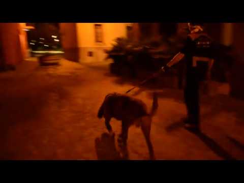 Mandello, anziano scomparso. In serata ricerche anche con i cani