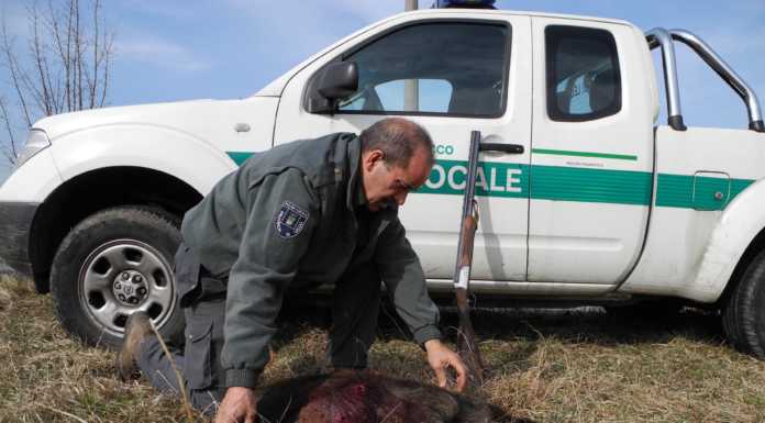 Soccorso fauna selvatica, pochi agenti: ‘salta’ il servizio serale-notturno