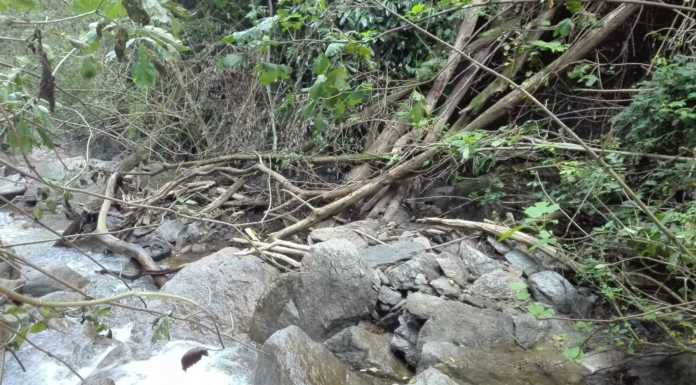 Fiumi Sicuri: a Bellano si ripulisce l’alveo della Valle dei Mulini