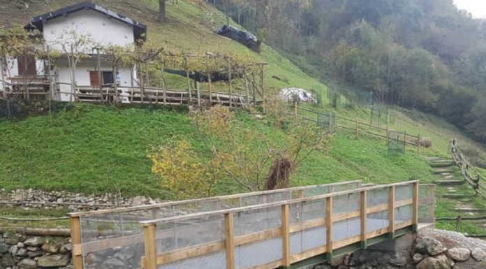 Sabato l’inaugurazione della passerella pedonale sul torrente Gallavesa