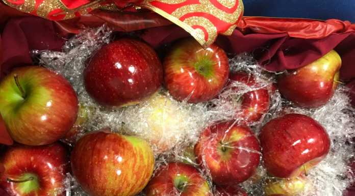 Pronte le Mele di San Nicolò, saranno distribuite nelle scuole