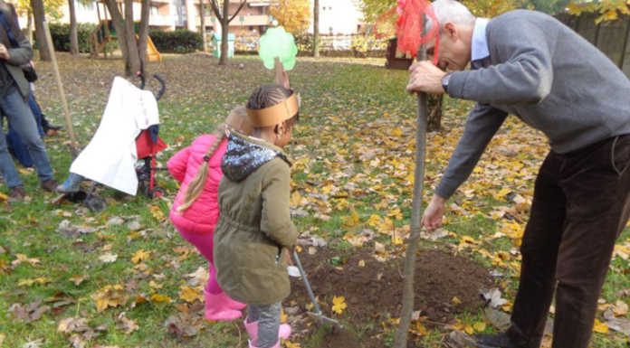 Merate, piantati due ciliegi alla materna in occasione della festa dell’albero