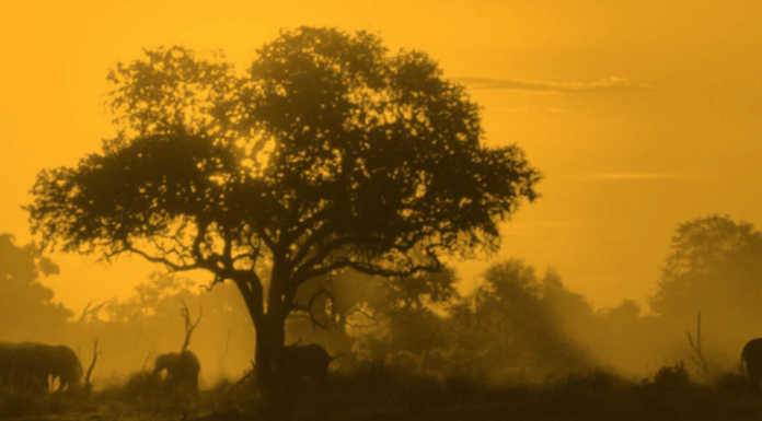 Osnago, la cooperazione si presenta: racconti, mostra e aperitivo