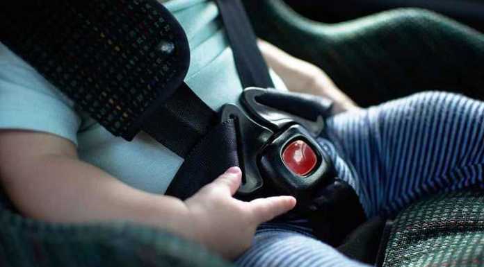 Seggiolini anti-abbandono, multe da oggi. ‘Assalto’ ai negozi