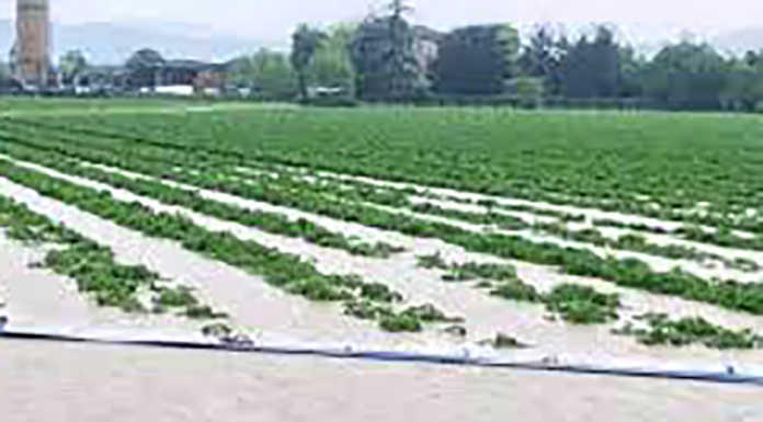 Coldiretti, l’ondata di maltempo mette in difficoltà gli agricoltori