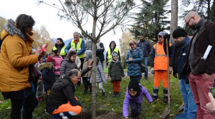 Un nuovo albero al Parco di Villa Gomes, i bimbi della Toti saranno i suoi custodi