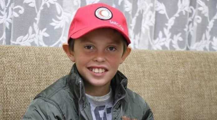 Alvin a casa, anche l’Inca di Lecco dietro il lieto fine della sua storia