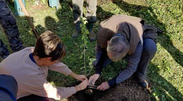 Pescate, alle medie si coltiva il tartufo nero: il progetto per gli studenti