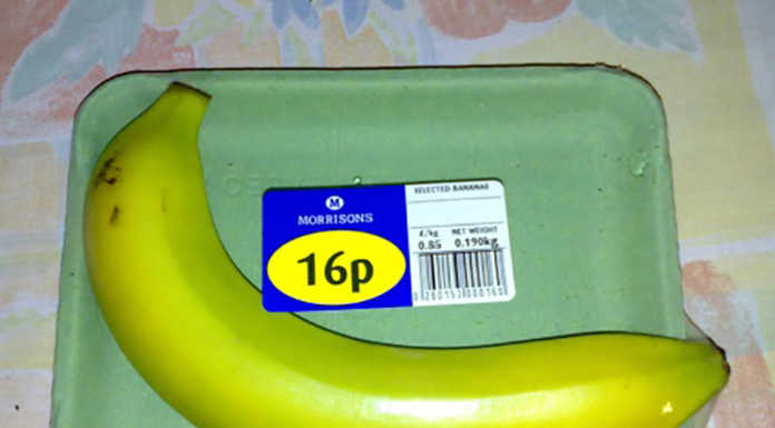 Tassa sulla plastica. Circolo Ilaria Alpi: “Ecco perché è giusta”