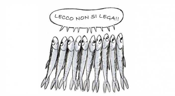 Anche a Lecco le sardine ‘anti-Salvini’, il 5 Dicembre in piazza