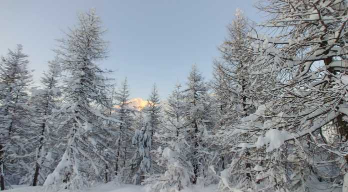 Fisio Online. Buon Natale in Salute