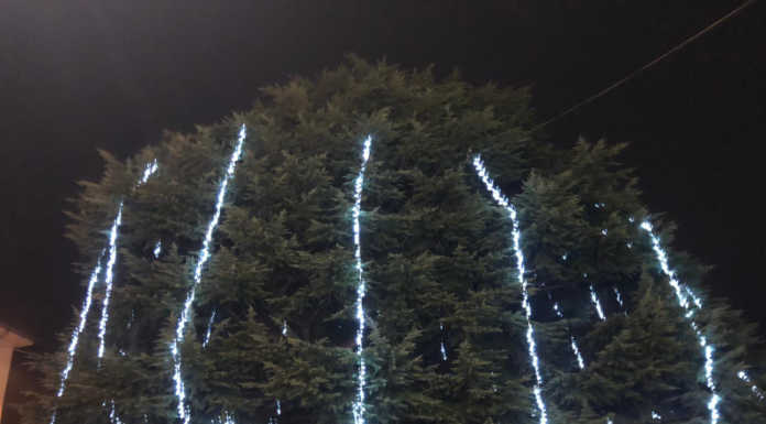 Airuno si veste per le feste: acceso l’albero di Natale in piazza