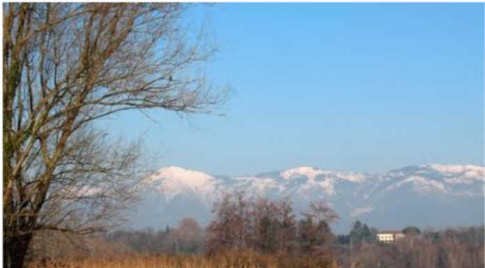 Riserva del lago di Sartirana, il comitato Civico: “Ecco perché ne è valsa la pena”