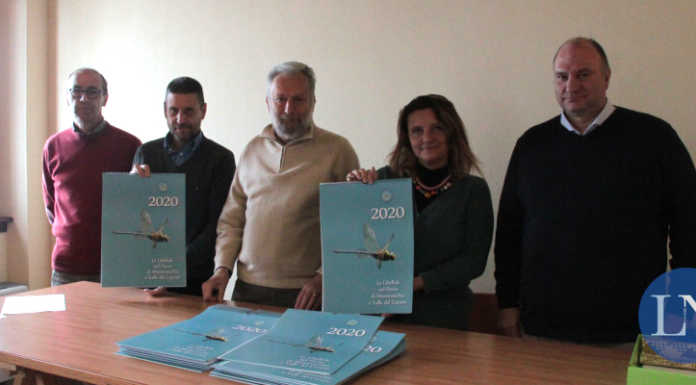 Montevecchia: dedicato alle libellule il calendario 2020 del Parco del Curone