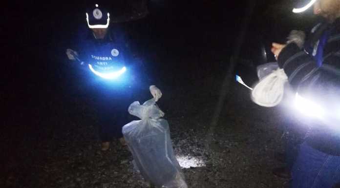 Ballabio, la Squadra Antidegrado in azione, raccolti rifiuti abbandonati nel bosco