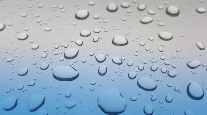 Psicologia e Vita. “Devo imparare a farmi scivolare le cose addosso”