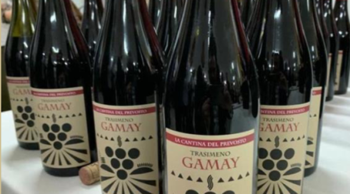 ‘La cantina del Prevosto’, un vino per sostenere il nuovo oratorio di Lecco