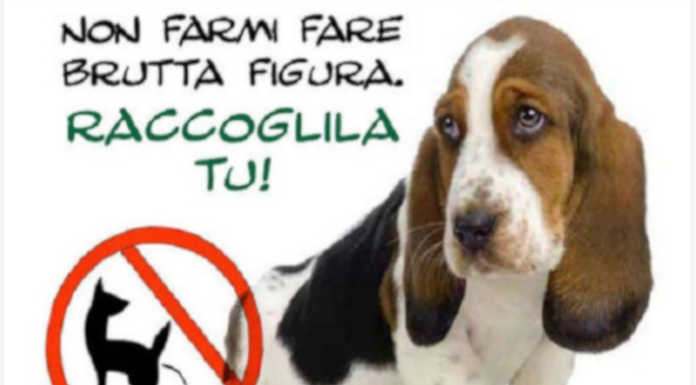 Airuno, deiezioni canine: un’ordinanza per contrastare l’abbandono selvaggio