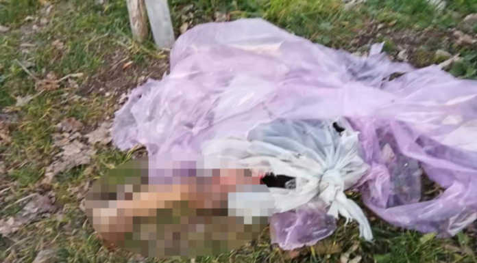 Merate, sconcerto per capretta squartata abbandonata in un sacco della spazzatura